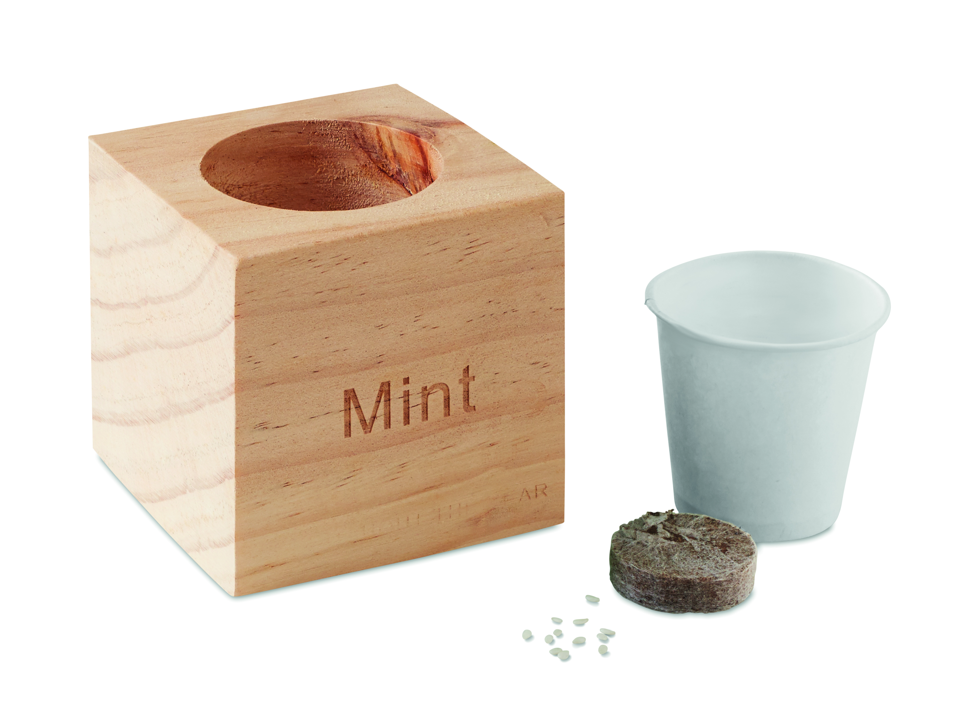 Holzbox, Minz-Topf, Mini-Keramik-Topf, Pflanzen-Set, Saatgut