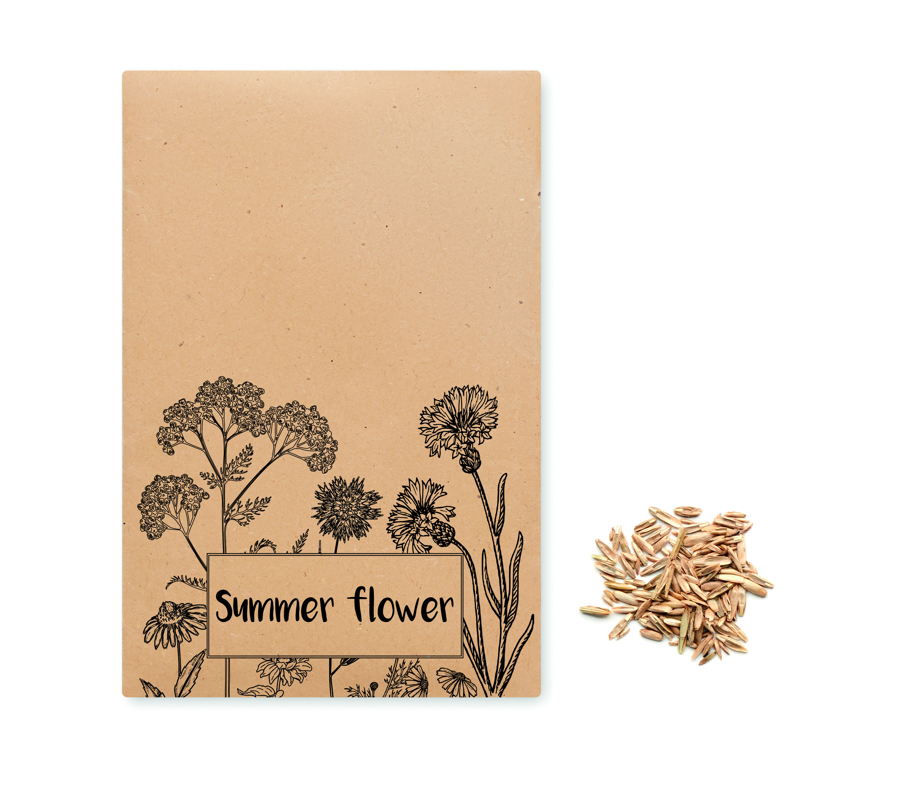Pappe Verpackung, Sommerblumen, Saatgut, Unbeschriftete Verpackung, Holzartiges Material