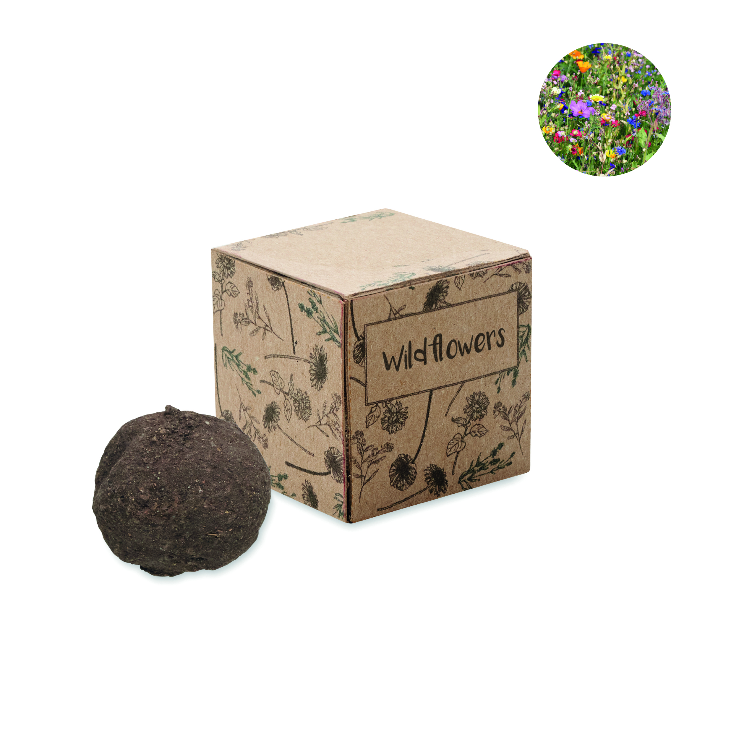blumen, wildblumen, Samenkugel, erdball, geschenkbox