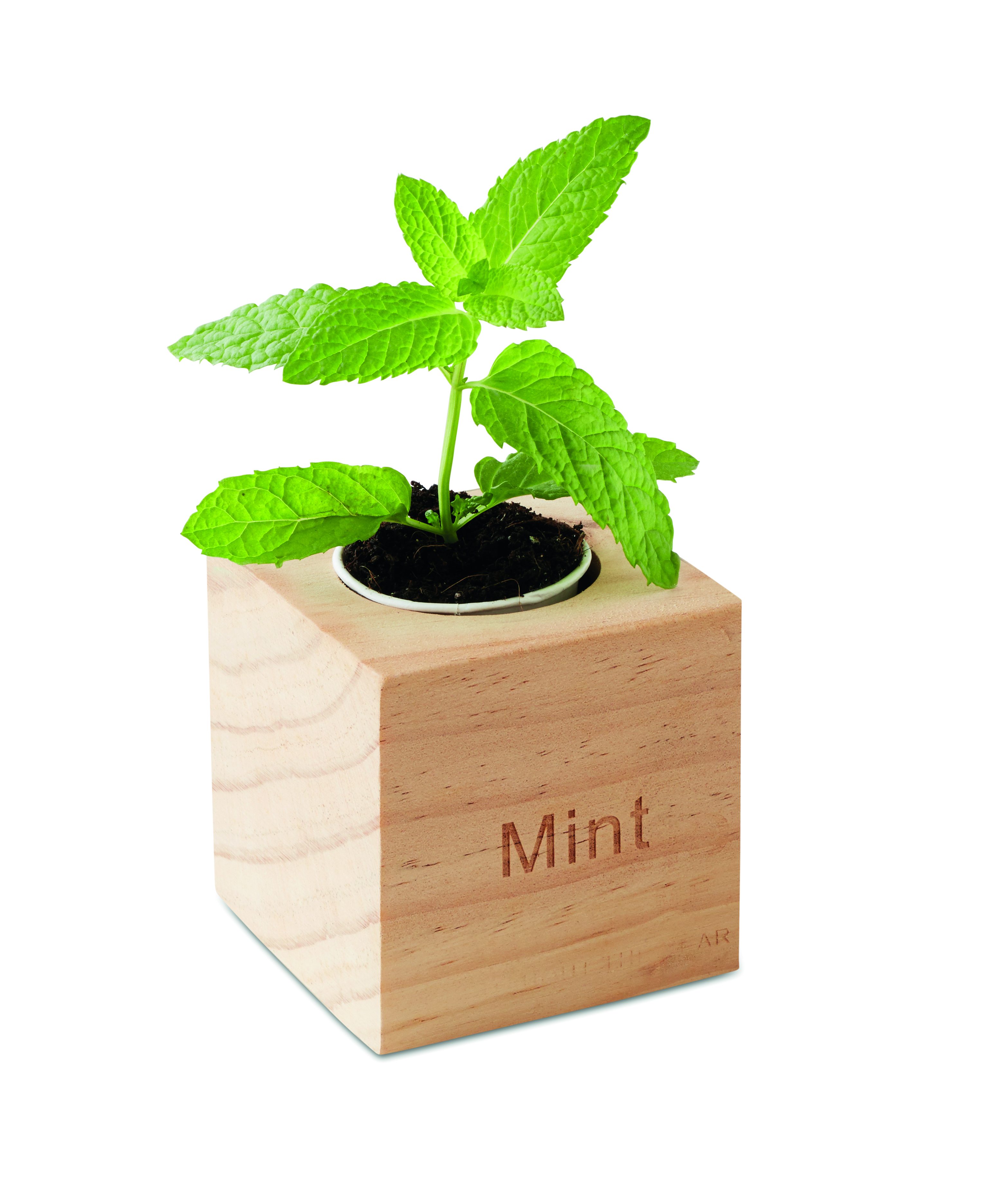 Minze, Kübelpflanze, Pflanze, Pflanzgefäß, Holzblock