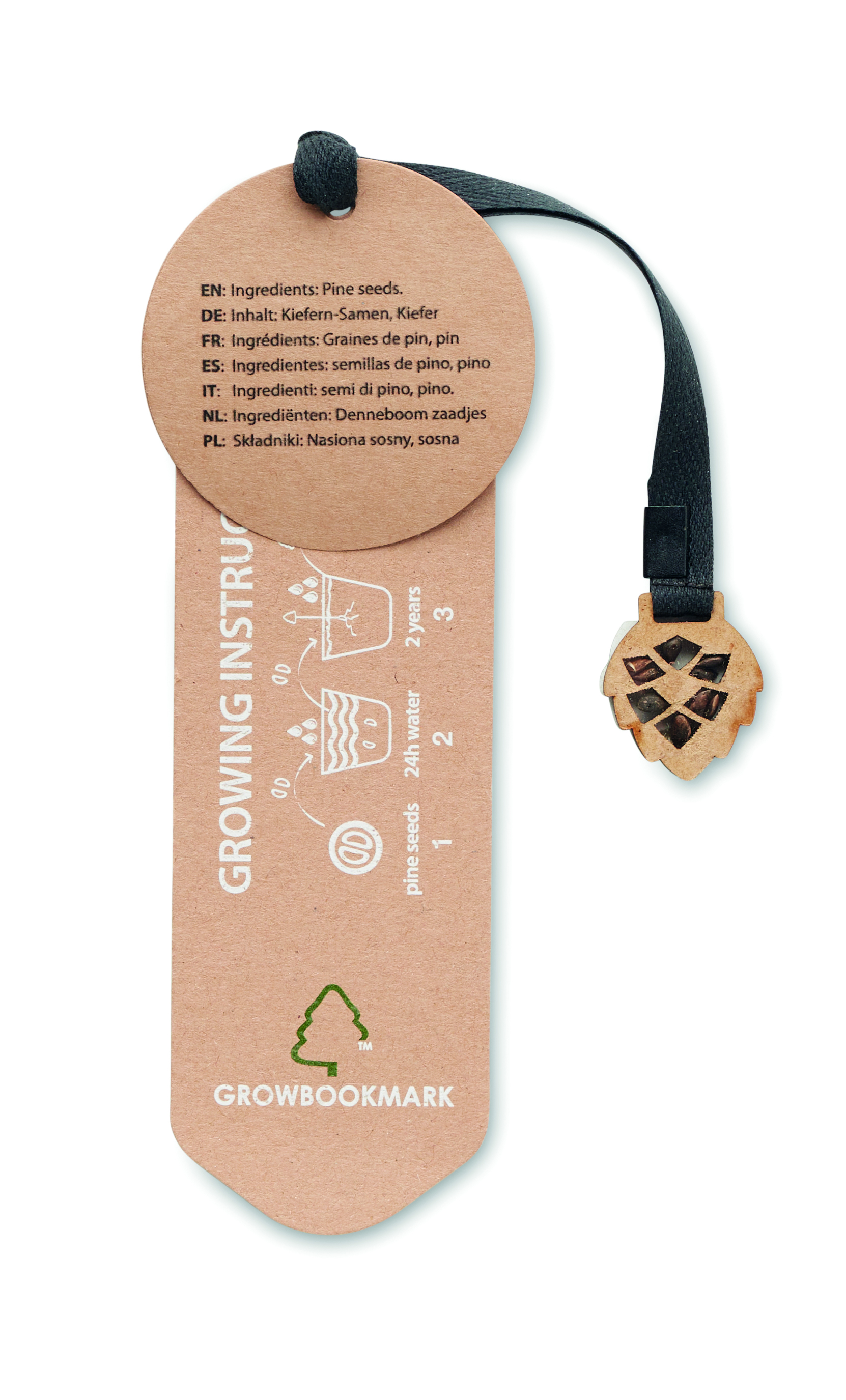 Kiefernsamen, Kiefernholzzapfen, Samenanhänger, Wachsanhänger, Holzschmuck