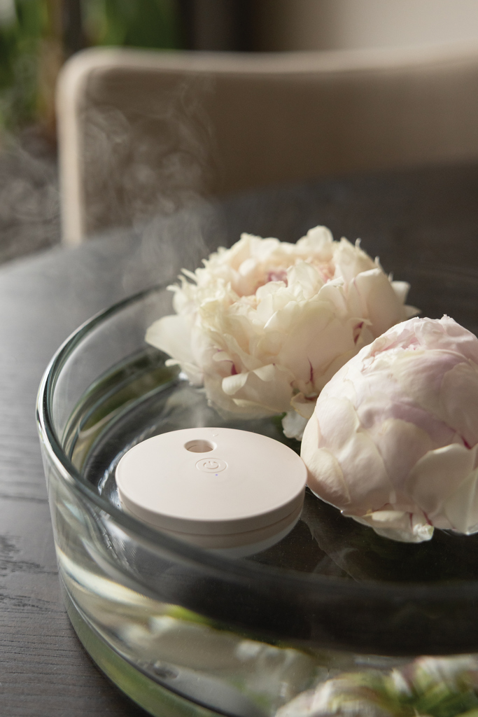 (error), glasvase, pfingstrosen, weiße blumen, duftdiffusor, runder deckel, Deko-Objekt, Pflanzen-Glas, Petal-Blend, Float-Container, Weiße Blüten, pfingstrose, blume, blumenstrauß, glas-schale, dampf