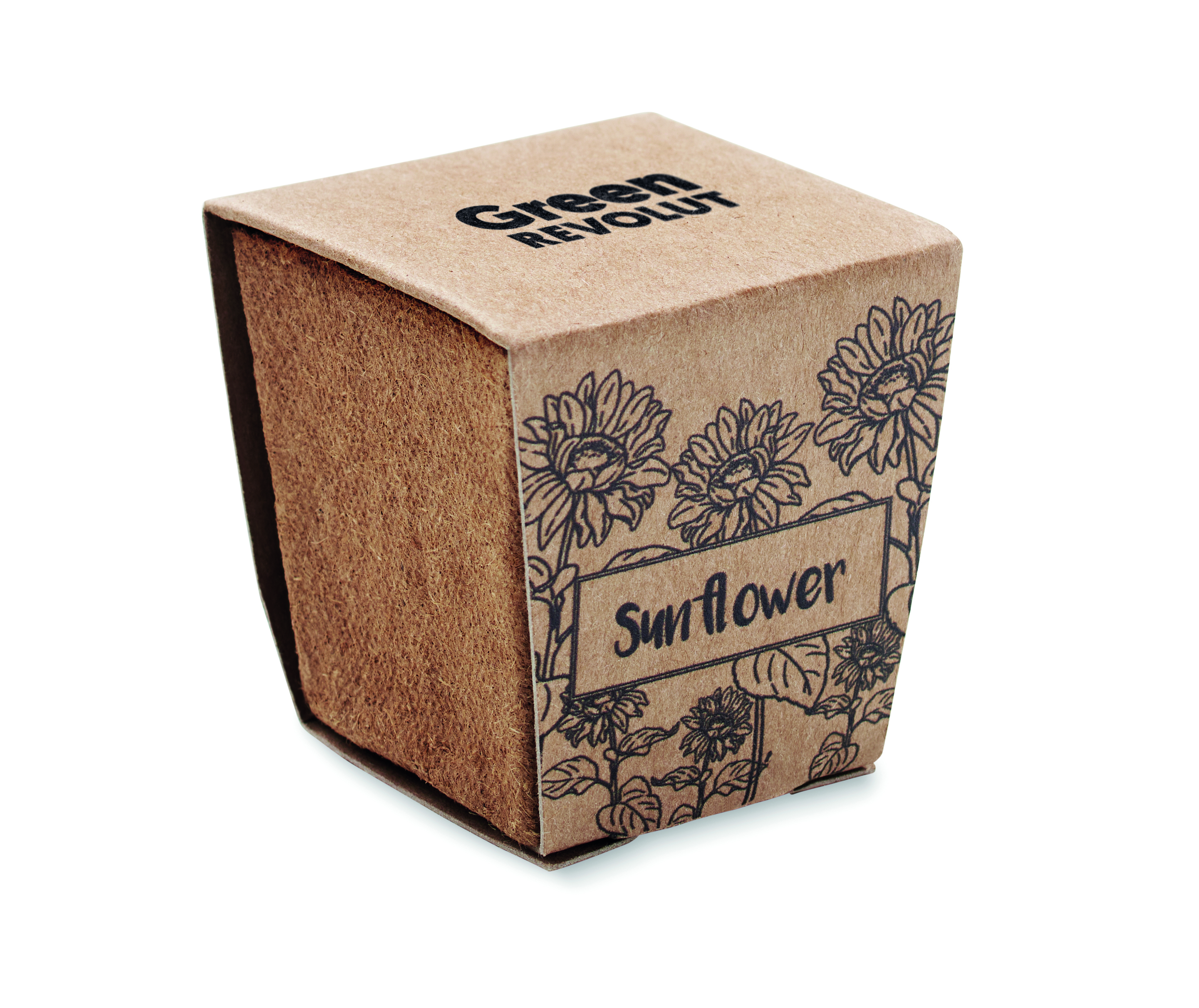SUNFLOWER KIT
