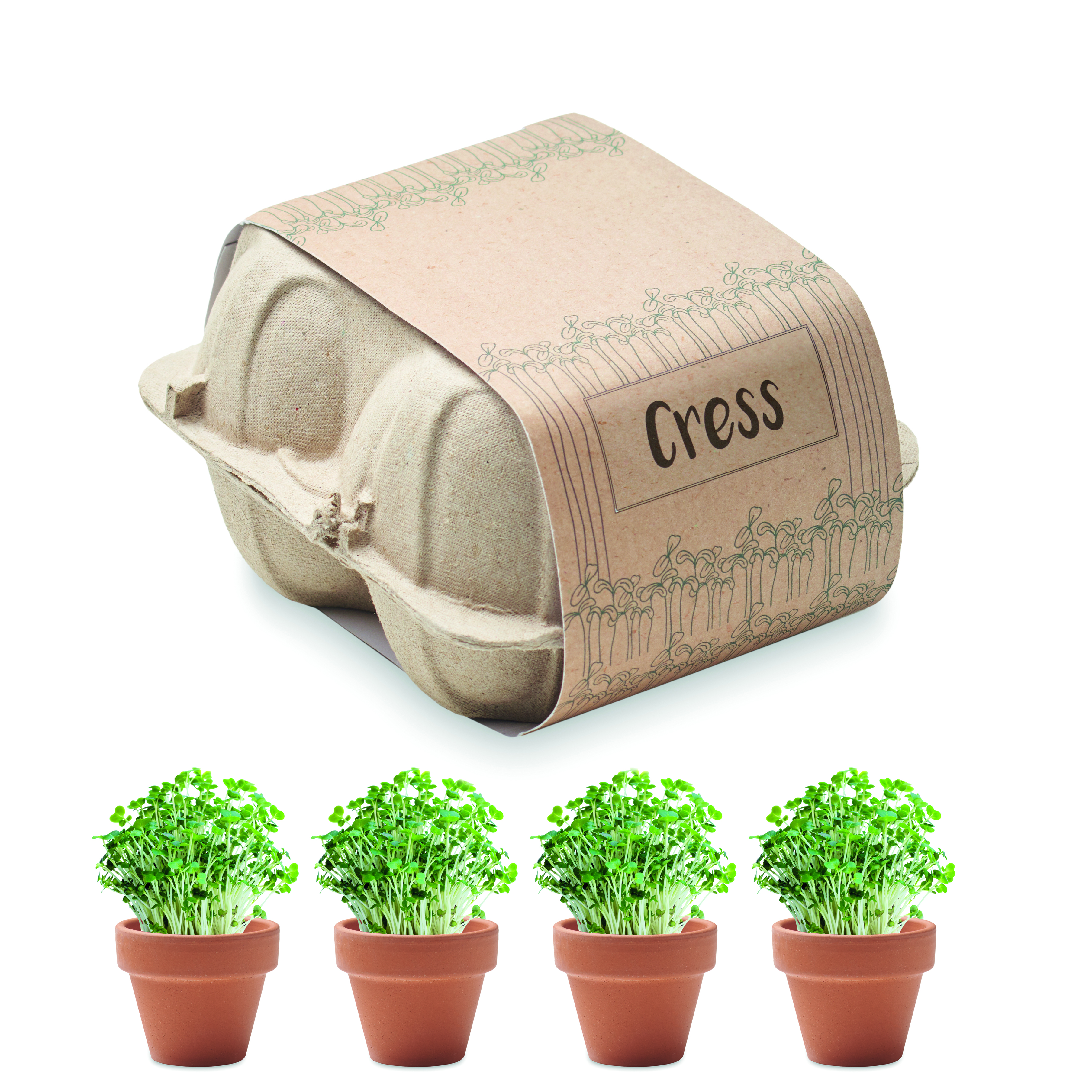 CRESS