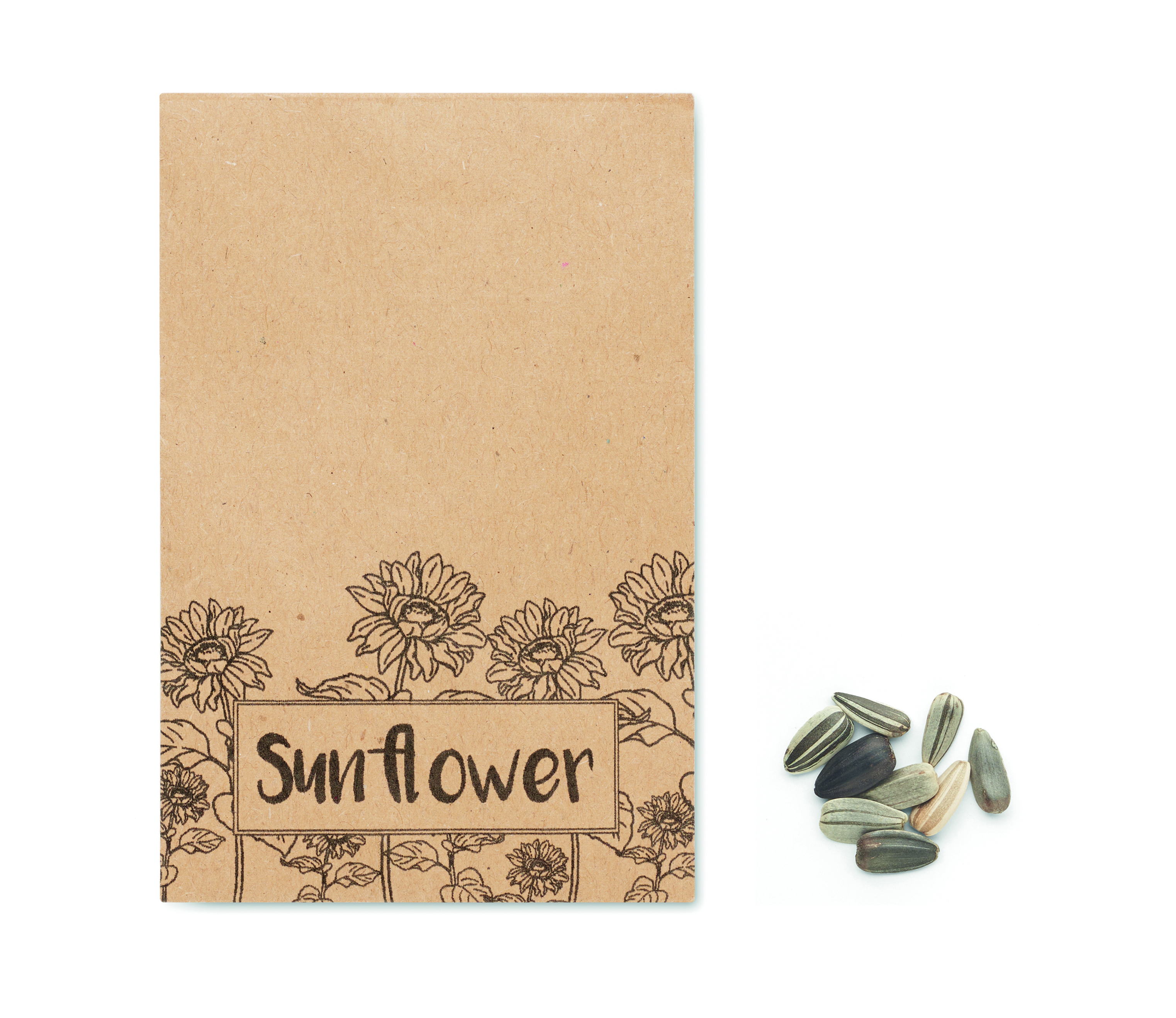 notebook, papier, sonnenblume, karton, samen, kokos, sonnenblume, kartonverpackung, samen, blumenmuster, notebook, sonnenblume, karton, samen, verpackung