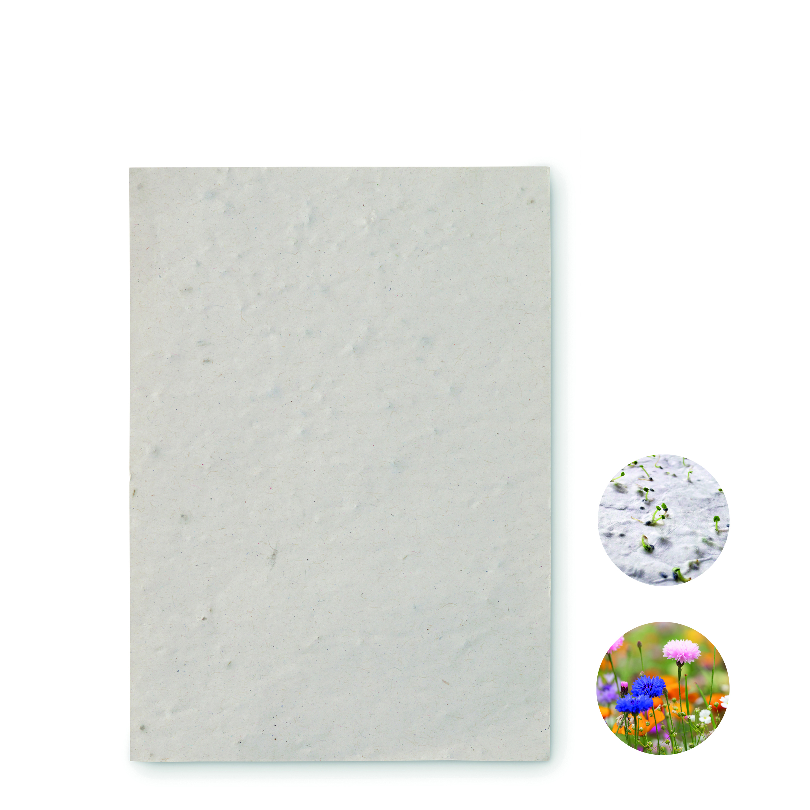 notebook, paper, steen, grau, unbedruckt